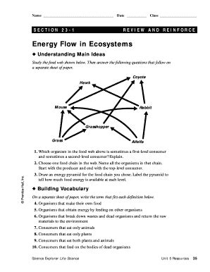 energy flow in ecosystems worksheet answer key pdf